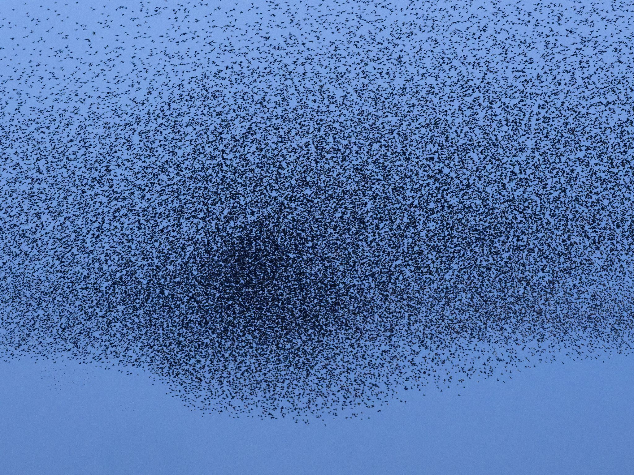 260319 1950 J  2JR0195 DxO DeepPRIME 3